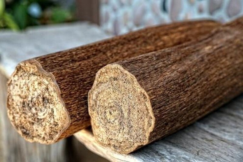 Агаровое дерево