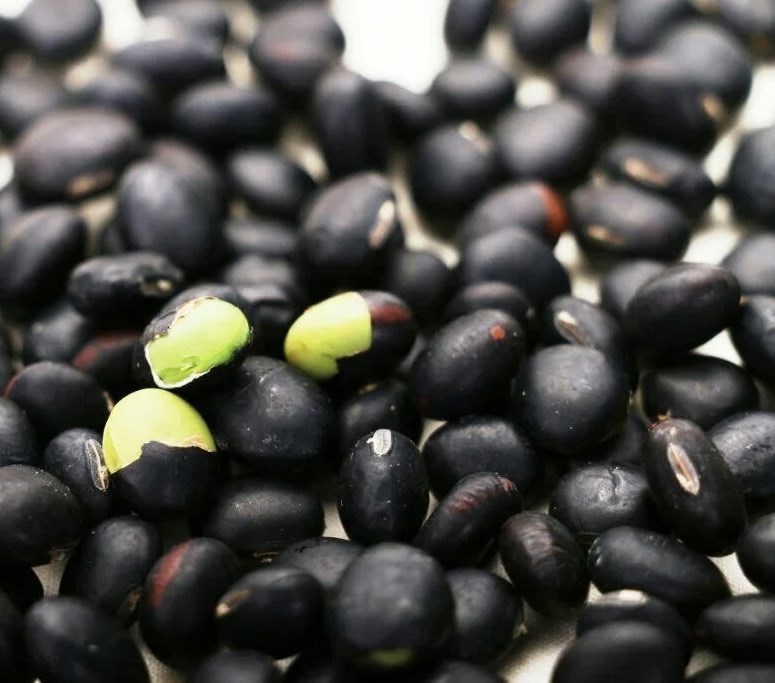 Чёрная соя (кофейная соя)