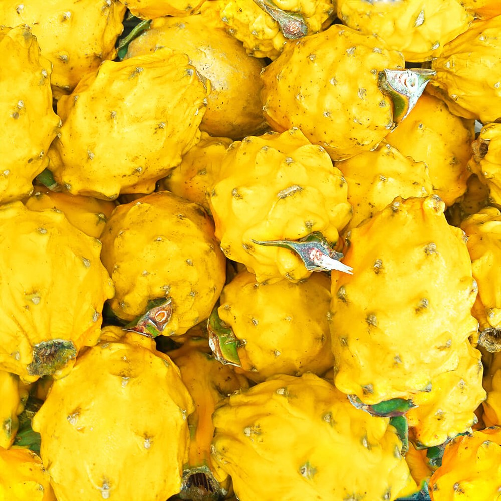 Питахайя жёлтая